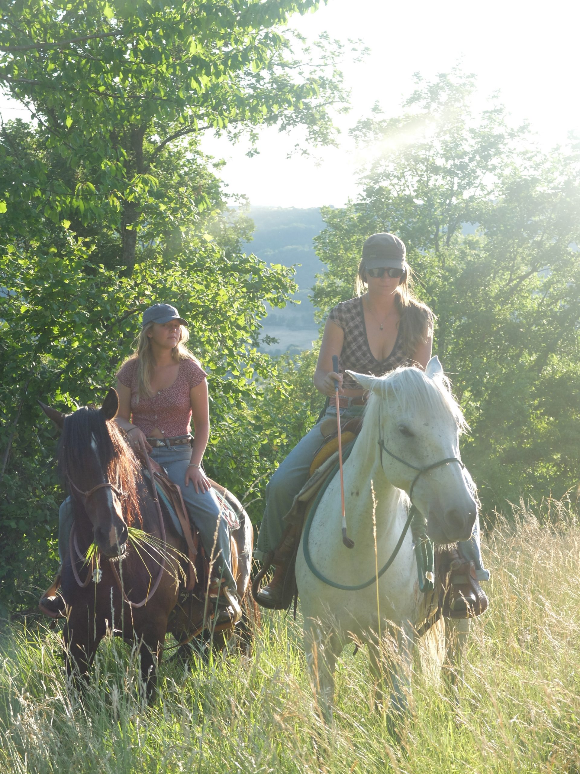 Sommer Saison 2025 im Rückblick